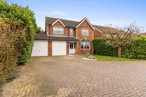 Photo 64- click for photo gallery